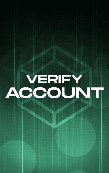 Verify Stake Account